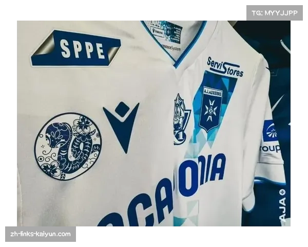 法甲尼斯球迷不当口号引发比赛中断俱乐部被要求出席纪律听证会